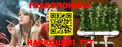 тгк Кандалакша