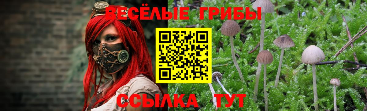 купить наркотики цена  Вход с VPN  Кызыл  Галлюциногенные грибы мухоморы 